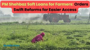 PM Shehbaz Soft Loans for Farmers