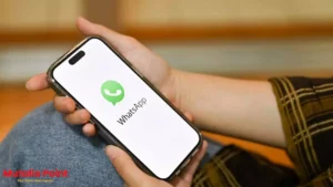WhatsApp layout share more